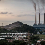 combustibles fósiles
