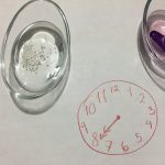 cuatro del experimento