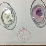 cinco del experimento