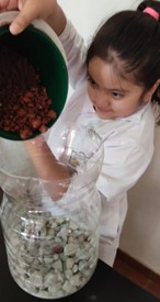 Poniendo el tezontle