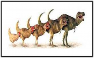 evolucion de los dinosaurios
