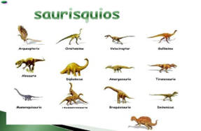 figura 3 suarisquios
