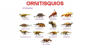 figura 4 Ornitisquios