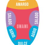 Fig. 1 Mapa de sabores en la lengua
