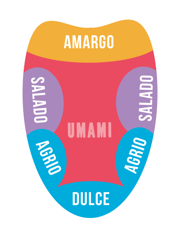Fig. 1 Mapa de sabores en la lengua