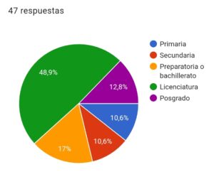 Fig.9 Escolaridad