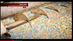 proceso de triturado de tapas