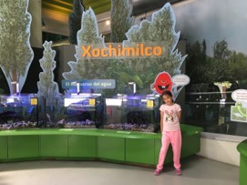 Investigación de campo