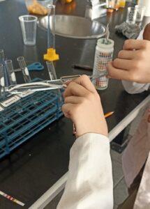 Fig. 19. Sumergimos tiras en el agua