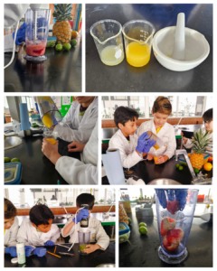 Fig. 24. Proceso de creación del sabor