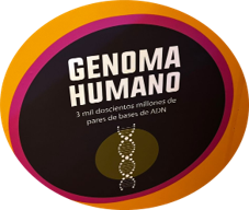 Genoma Humano