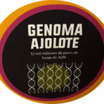 Genoma ajolote