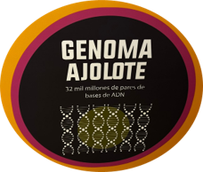Genoma ajolote