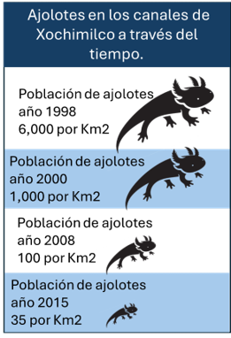 Tabla de población de los ajolotes en los canales de Xochimilco