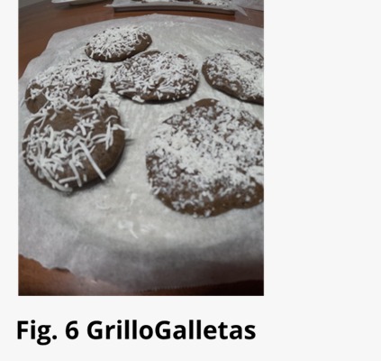 Figura 6. Galletas con harina de grillo.