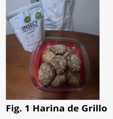 Figura 1. Harina de grillo.