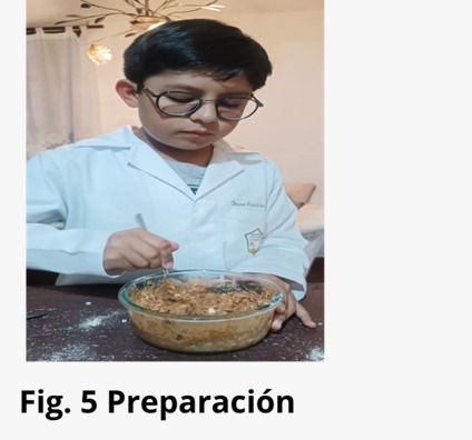 figura 5. Preparación.